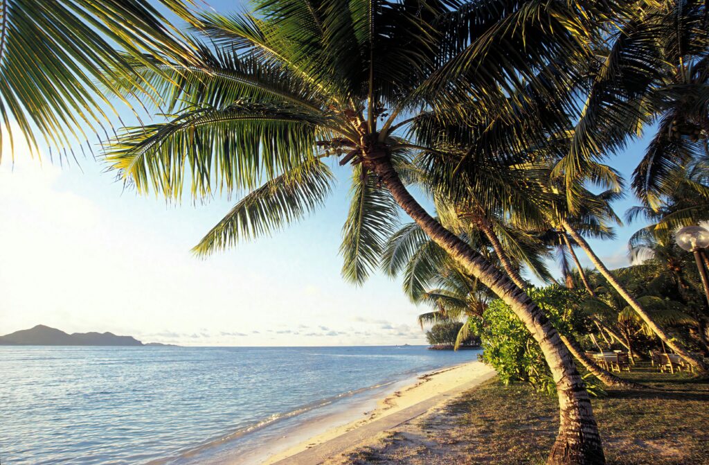 Plage paradisiaque de La Réunion bordée de palmiers et sable blanc, eau turquoise - Massilia Voyages