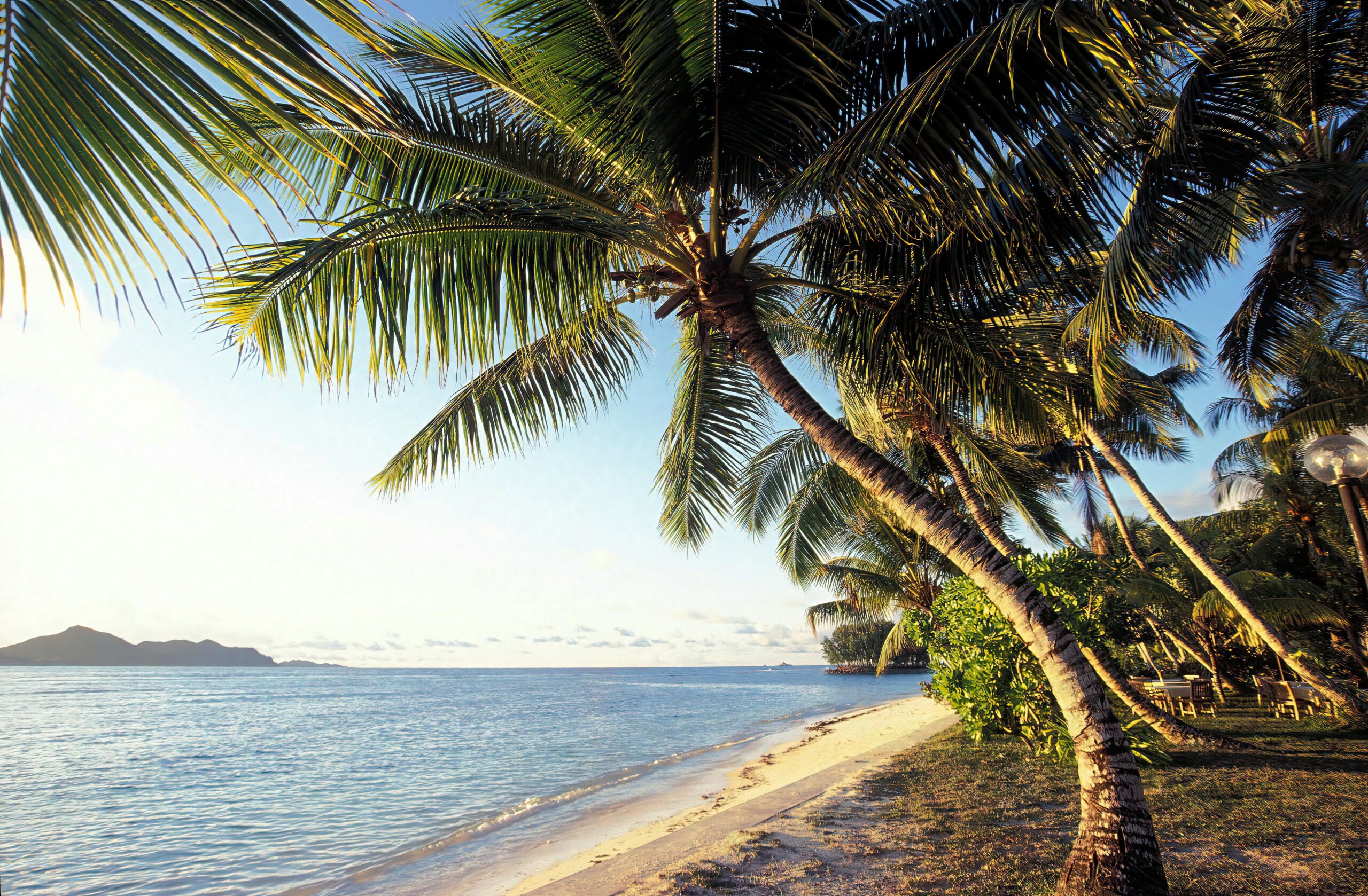 Plage paradisiaque de La Réunion bordée de palmiers et sable blanc, eau turquoise - Massilia Voyages